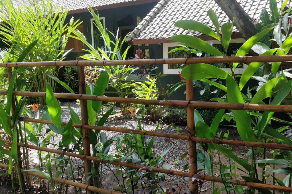 Villa King: Unique Villa With Indoor Swimming Pool อาเม็ด ภายนอก รูปภาพ