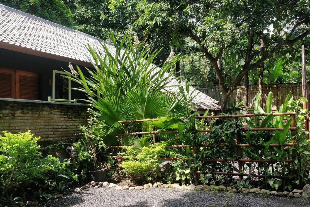 Villa King: Unique Villa With Indoor Swimming Pool อาเม็ด ภายนอก รูปภาพ