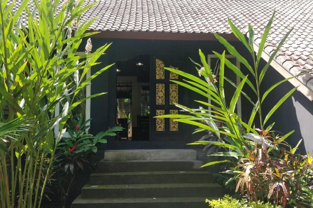 Villa King: Unique Villa With Indoor Swimming Pool อาเม็ด ภายนอก รูปภาพ