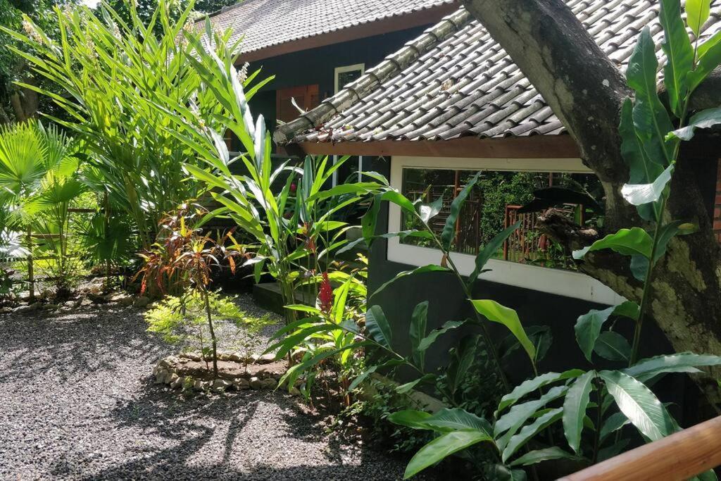 Villa King: Unique Villa With Indoor Swimming Pool อาเม็ด ภายนอก รูปภาพ