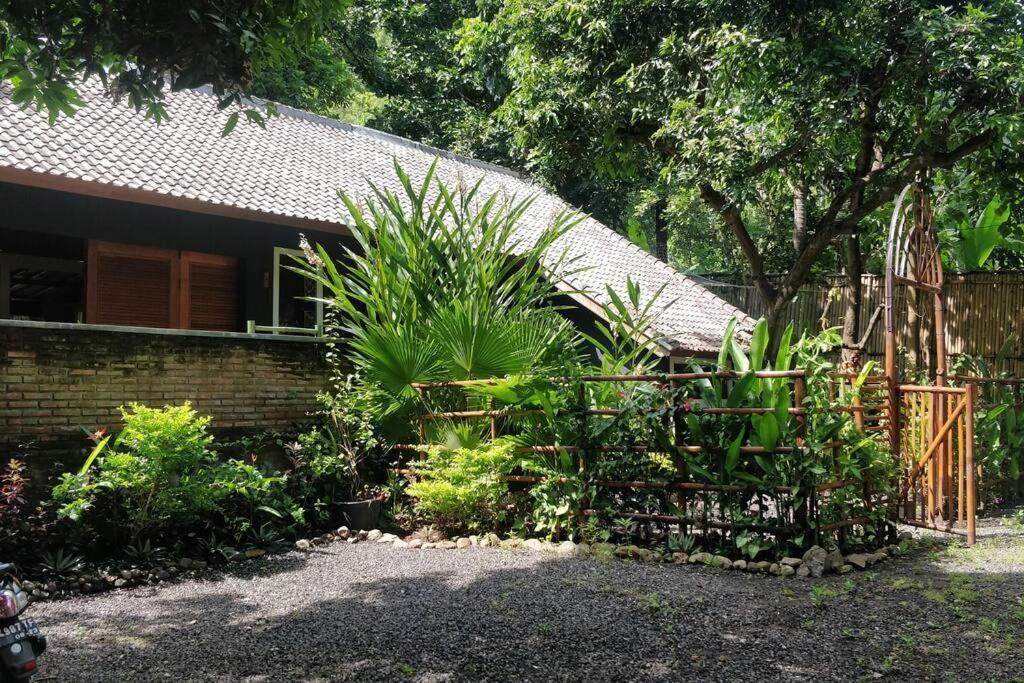 Villa King: Unique Villa With Indoor Swimming Pool อาเม็ด ภายนอก รูปภาพ
