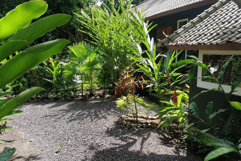 Villa King: Unique Villa With Indoor Swimming Pool อาเม็ด ภายนอก รูปภาพ