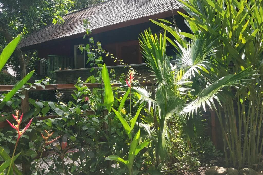 Villa King: Unique Villa With Indoor Swimming Pool อาเม็ด ภายนอก รูปภาพ